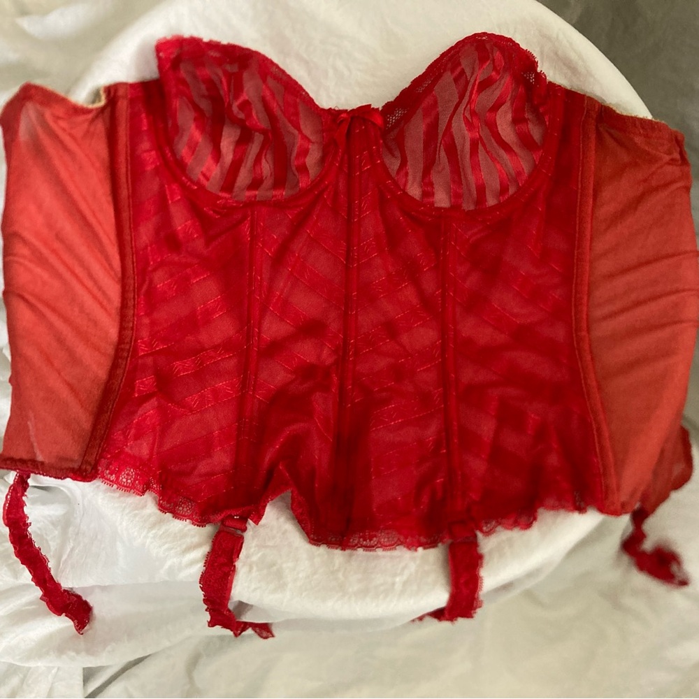 Vintage Lily Of France Corset